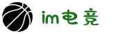 IM(股份有限公司)电竞-电子竞技平台